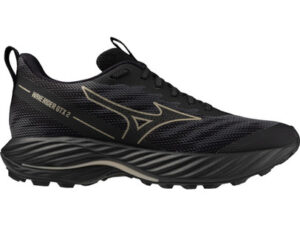 Mizuno Wave Rider GTX 2 Femme