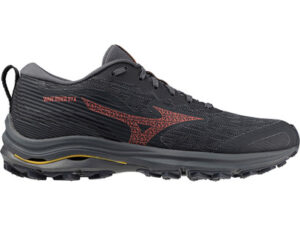 Mizuno Wave Rider GTX Femme