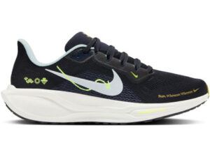 Nike Pegasus 41 Homme