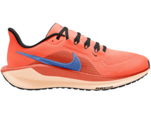 Nike Pegasus 41 Homme