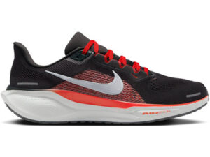 Nike Pegasus 41 Homme