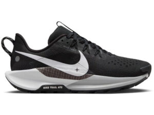 Nike Pegasus Trail 5 Femme