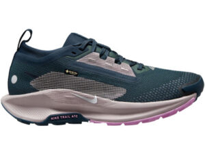 Nike Pegasus Trail 5 GTX Femme