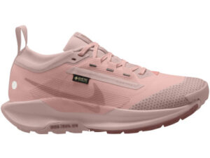 Nike Pegasus Trail 5 GTX Femme