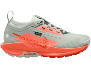 Nike Pegasus Trail 5 GTX Femme
