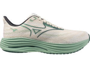 Mizuno Wave Rider 29 Homme