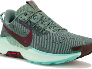 Nike Pegasus Trail 5 - DV3864-302