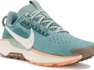 Nike Pegasus Trail 5 femme - DV3865-010