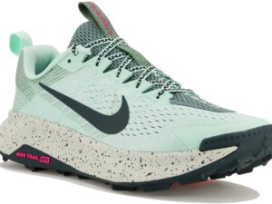 Nike Wildhorse 10 - FV2338-301