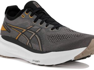Asics Gel-Kayano 31 - 1011B867-022