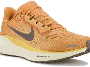 Nike Pegasus 41 femme - FD2723-800