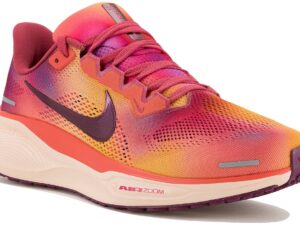 Nike Pegasus 41 femme - HQ2464-800