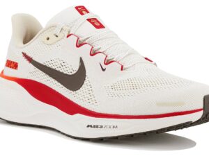 Nike Pegasus 41 femme - HV5985-101