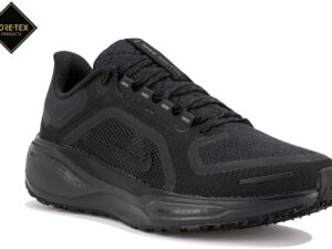 Nike Pegasus 41 Gore-Tex - FQ1356-001