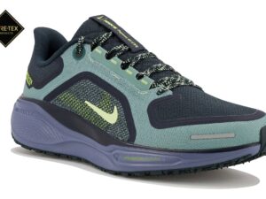Nike Pegasus 41 Gore-Tex - FQ1356-006