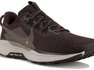 Nike Pegasus Trail 5 femme - DV3865-202