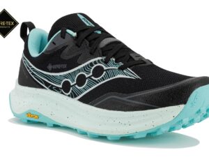 Saucony Peregrine 16 Gore-Tex femme - S11068-101