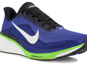 Nike Pegasus 42 - IB1873-500