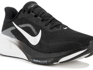 Nike Pegasus 42 - IR1228-001