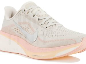 Nike Pegasus 42 femme - IB1881-002