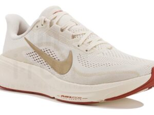 Nike Pegasus 42 femme - IB1881-004