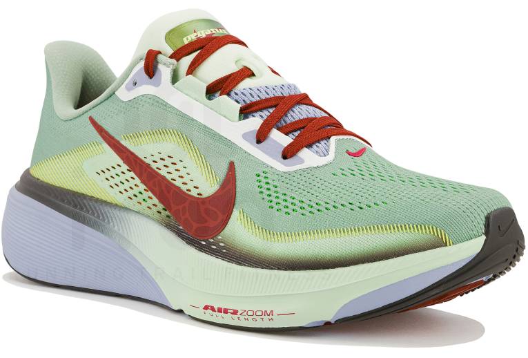 Nike Pegasus 42 - IW1247-099 chaussure Nike Pegasus 42 - IW1247-099