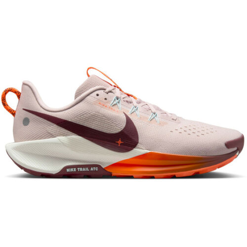 Nike Pegasus Trail 5 Homme Gris