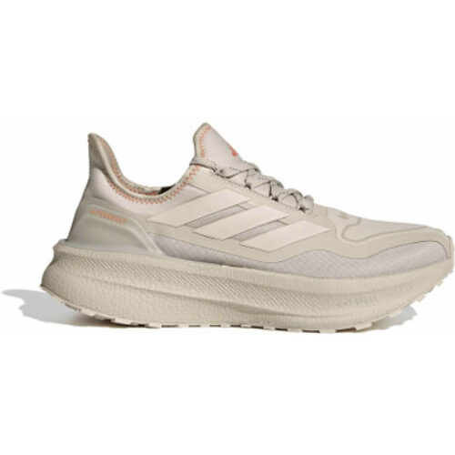 adidas Ultraboost 5x GTX Homme Beige