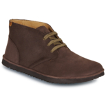 El Naturalista TRIBU N5374 Marron