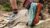 Meilleures chaussures trail femme : le guide complet 2026