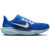 Nike Pegasus 41 CM Homme Bleu