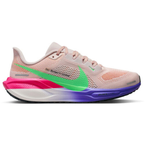 Nike Pegasus 41 EK Femme
