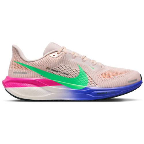 Nike Pegasus 41 EK Homme