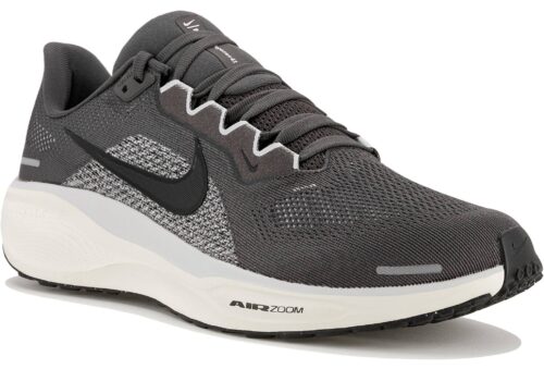 Nike Pegasus 41 Gris