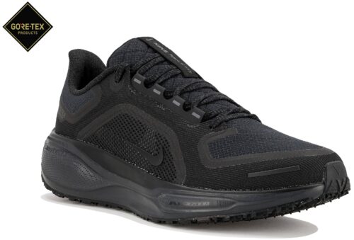 Nike Pegasus 41 Gore-Tex Noir