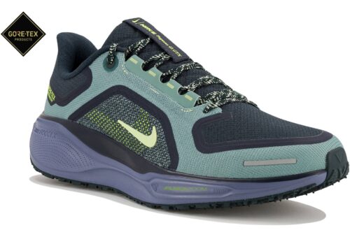 Nike Pegasus 41 Gore-Tex Vert