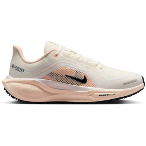 Nike Pegasus 41 GTX Femme Beige