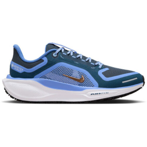 Nike Pegasus 41 GTX Femme Bleu