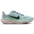 Nike Pegasus 41 Homme Bleu