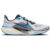 Nike Pegasus 41 Homme Blanc