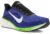 Nike Pegasus 42 Bleu Marine