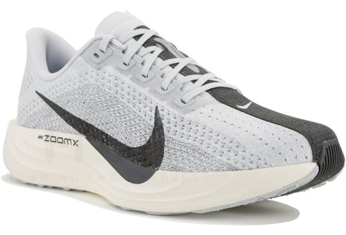 Nike Pegasus Plus Gris