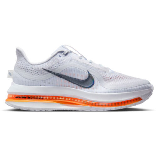 Nike Pegasus Premium Femme Gris