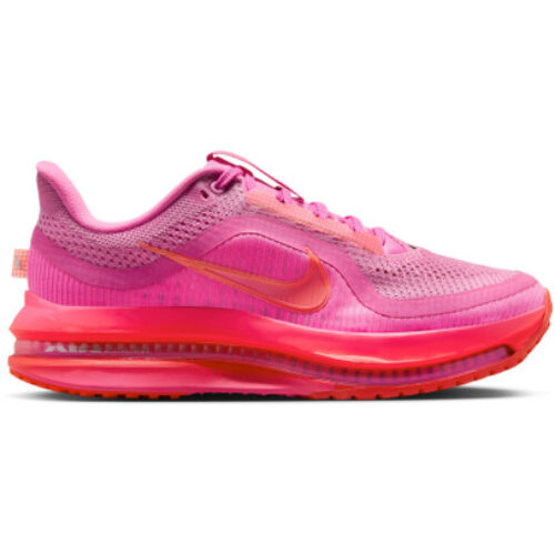 Nike Pegasus Premium Femme Violet