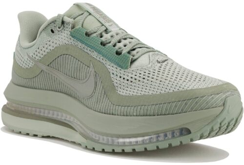 Nike Pegasus Premium Gris Vert