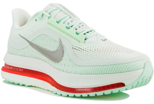 Nike Pegasus Premium Vert Clair