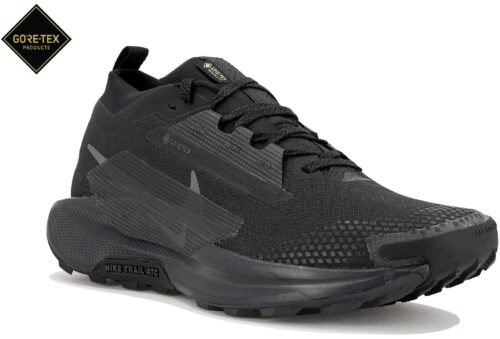 Nike Pegasus Trail 5 Gore-Tex Noir