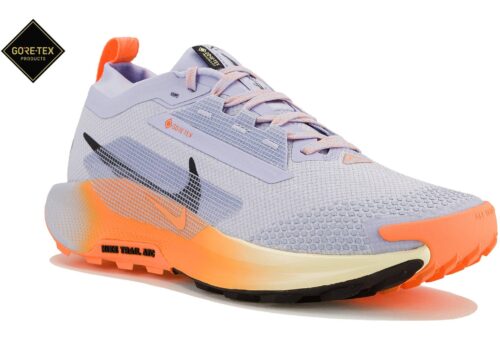 Nike Pegasus Trail 5 Gore-Tex Bleu
