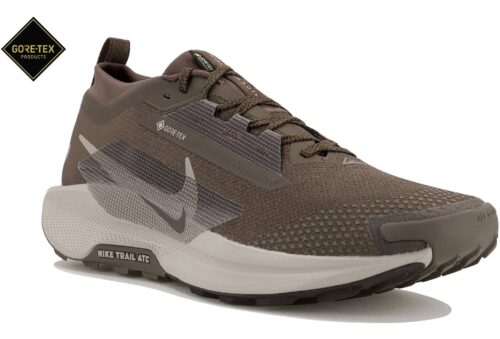 Nike Pegasus Trail 5 Gore-Tex Marron