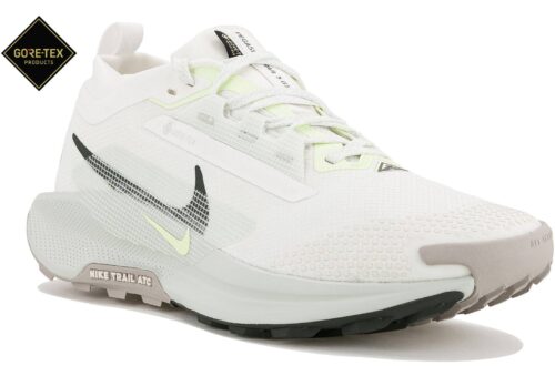 Nike Pegasus Trail 5 Gore-Tex Blanc